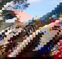 Newbridge Winter Solstice Festival - Accommodation Yamba