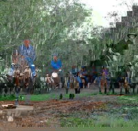 Night Horse Ride and Dinner - Accommodation Yamba