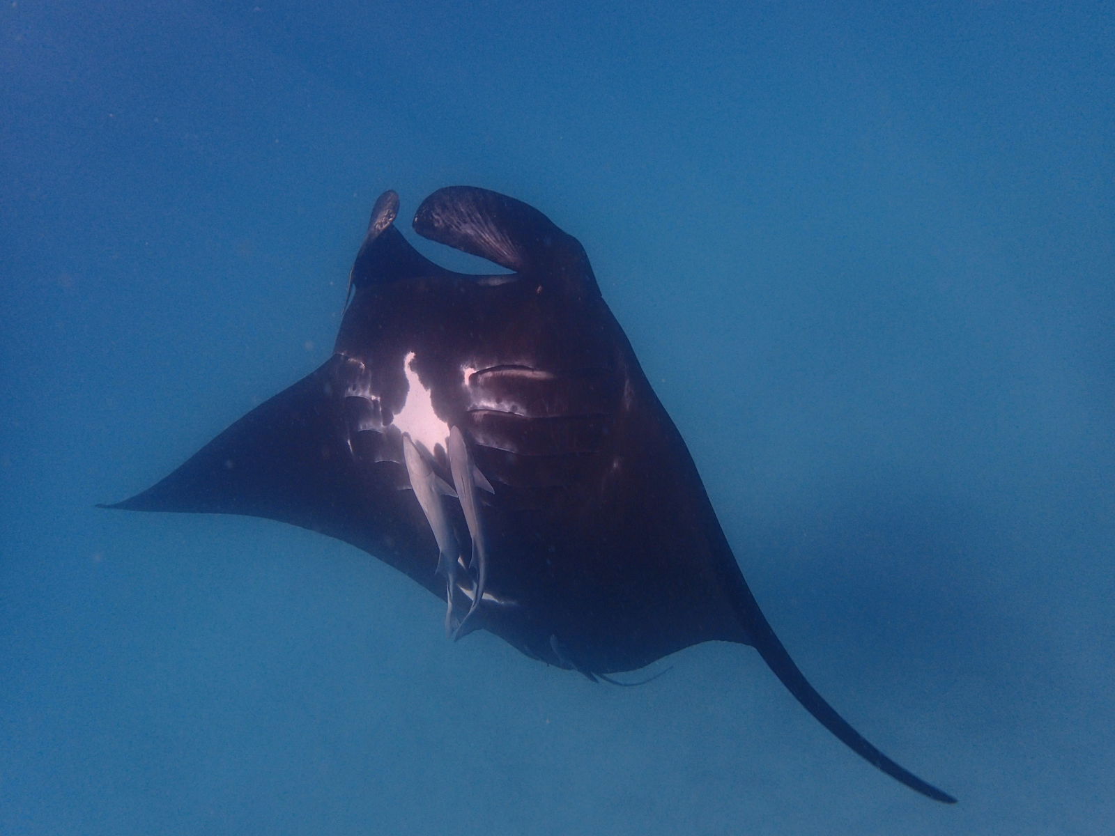 Carbla WA Accommodation Yamba