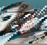 Reuben Kaye Comes Out to Play - Accommodation Yamba