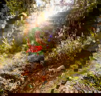 Run Dungog - Accommodation Yamba