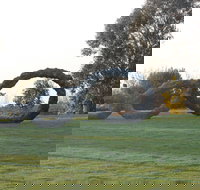 SculptureShaw - Accommodation Yamba