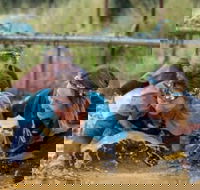 Suck It Up Buttercup Vikings Obstacle Course - Accommodation Yamba