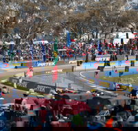 Supercars Supercheap Auto Bathurst 1000 - Accommodation Yamba