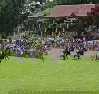 Tumut Derby Day - Accommodation Yamba
