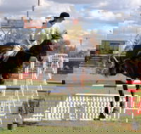 Wee Waa Show - Accommodation Yamba