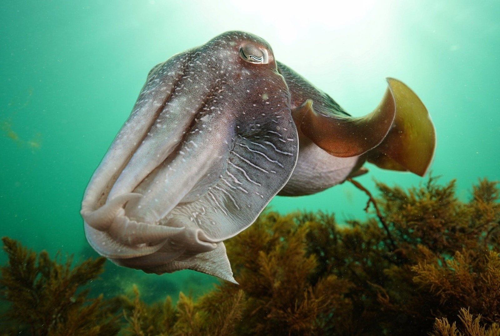 Whyalla Dc SA Accommodation Yamba