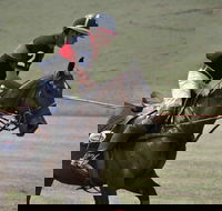 Wirragulla Annual Polo Tournament - Accommodation Yamba