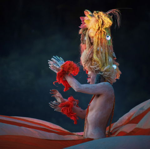 Yonder Festival 2020 - Accommodation Yamba 2