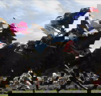 Batemans Bay Cup - Accommodation Yamba