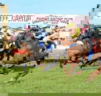 Casino Cup - Accommodation Yamba