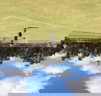 Charlton Lawn Tennis Club Annual Tournament - Accommodation Yamba