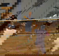 Charlton Badminton Club Ladies Tournament - Accommodation Yamba