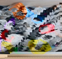 Cuttle-Rock Challenge - CUTTLEFEST 2020 - Whyalla - Accommodation Yamba