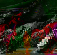 Dinomania - Postponed - Accommodation Yamba