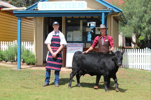 Festival Of The Big Cow - Accommodation Yamba 2
