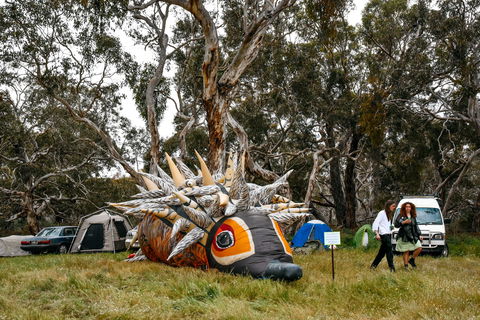 Field Good Festival - Accommodation Yamba 2