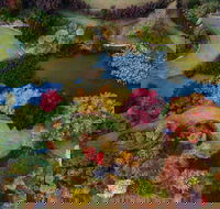 Glenrock Gardens Open Garden - Accommodation Yamba