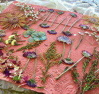 Introduction to Paper Making - Accommodation Yamba