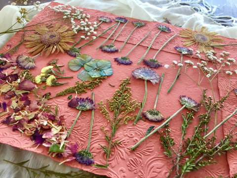 Introduction To Paper Making - Accommodation Yamba 0