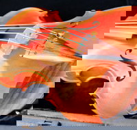 Kendall National Violin Competition Finals Weekend - Accommodation Yamba