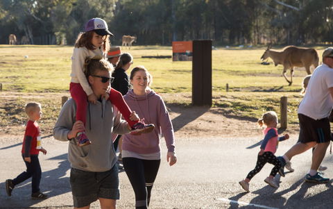 MAAS Group Dubbo Stampede Running Festival - Accommodation Yamba 1