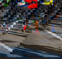 Moruya Town to Surf Fun Run - Accommodation Yamba