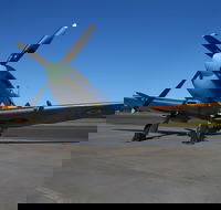 October Weekend Aircraft Showcase - Accommodation Yamba