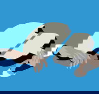 Petrenko's Shostakovich - Morning Symphony - Accommodation Yamba