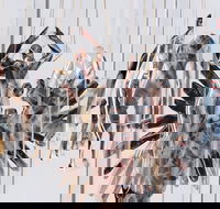 Pulse Perspectives - Accommodation Yamba