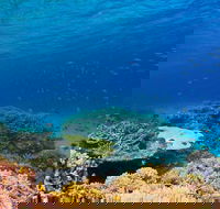 Recovery of the Great Barrier Reef - Accommodation Yamba