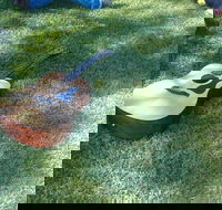 Rosewood Country Round Up Music Festival - Accommodation Yamba