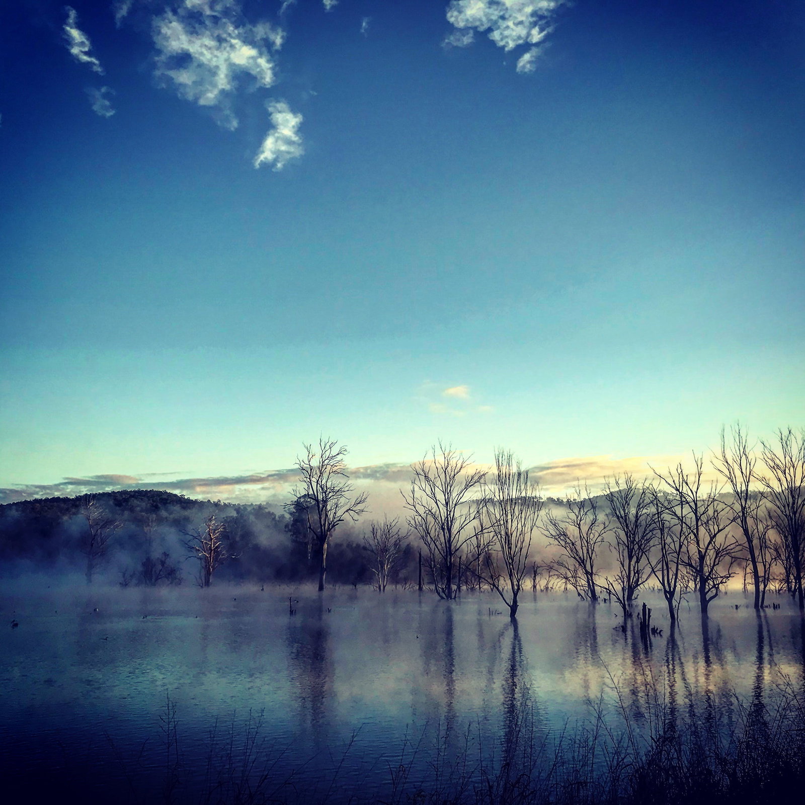 Templin QLD Accommodation Yamba