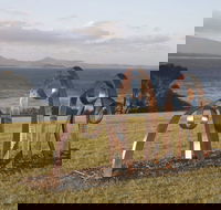 Sculpture Bermagui - Accommodation Yamba