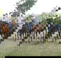 Stroud Show - Accommodation Yamba