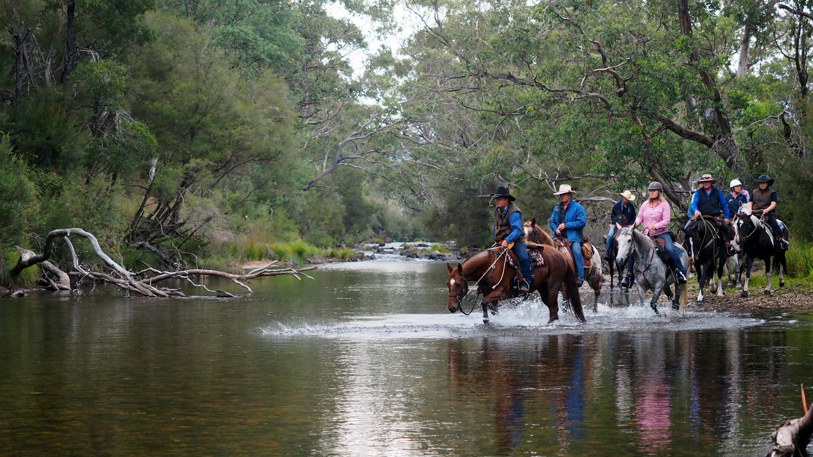 Towong Upper VIC Accommodation Yamba