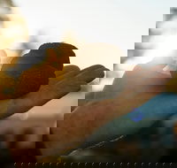 The Truffle Festival - Canberra Region - Accommodation Yamba