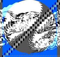 The Manildra Show - Accommodation Yamba