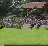 Tumut Boxing Day Races - Accommodation Yamba