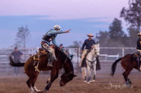 Walgett Charity Bushman's Carnival Rodeo And Campdraft - Accommodation Yamba 1