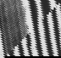 WA Now  Tom Mller Monolith Scores - Accommodation Yamba