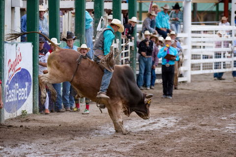 Warwick Rodeo National APRA National Finals And Warwick Gold Cup Campdraft - Accommodation Yamba 1