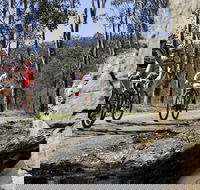 Wollombi Wild Ride Mountain Bike Ride - Accommodation Yamba