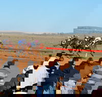 2020 Quorn Cup - Accommodation Yamba