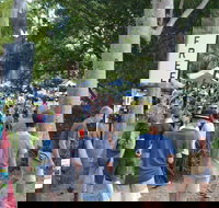 Bellingen Community Markets - Accommodation Yamba