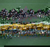 Bledisloe Cup Double-Header Qantas Wallabies v All Blacks  Buildcorp Wallaroos v Black Ferns - Accommodation Yamba