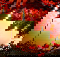 Carols by Candlelight Boorowa - Accommodation Yamba