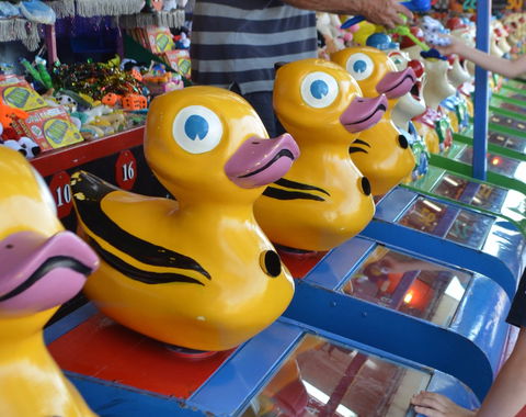 Casino Agricultural Show - Accommodation Yamba 0