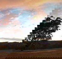 Christmas in July Jumpers and Jazz - Accommodation Yamba