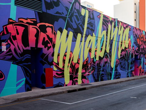 Darwin Street Art Festival - Accommodation Yamba 1